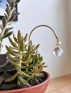 succulent suncatchers Citrine Plant Suncatcher small – Mariya Eleanor Designs